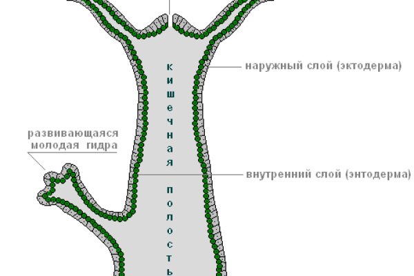 Как залить фото на мегу с телефона